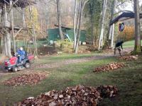IMG_20221029_101331 (1024x768).jpg